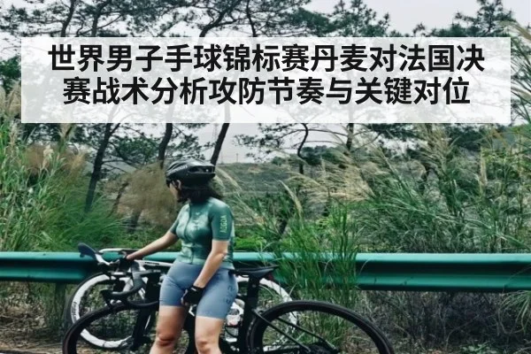 世界男子手球锦标赛丹麦对法国决赛战术分析攻防节奏与关键对位